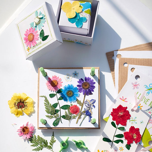 4M Green Creativity pressed Flower Art kit - Plastik Figür Model Maket Alışverişte İlk Adres 'da - 1304228687