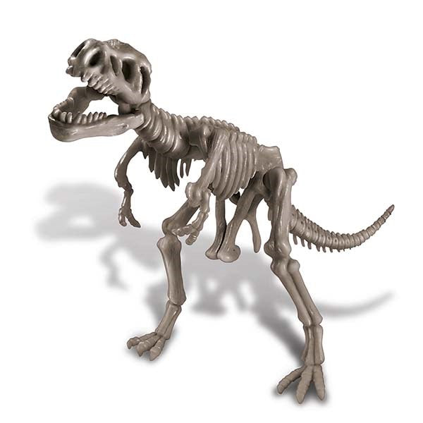 4M - Dig a Dinosaur T-Rex - Johnco