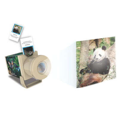 4M - KidzLabs - Slide Projector - Wildlife