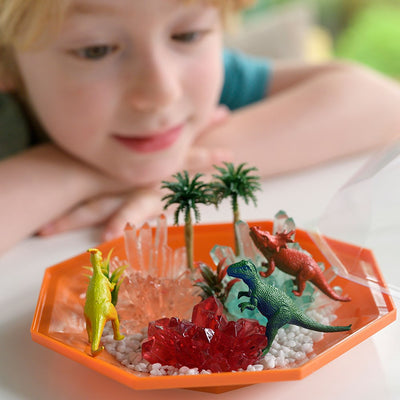 4M - Crystal Growing - Dinosaur Crystal Terrarium