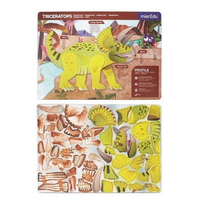 mierEdu - Magnetic Pad - Triceratops