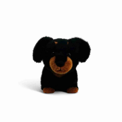 One Love - Pumpkin Dachshund