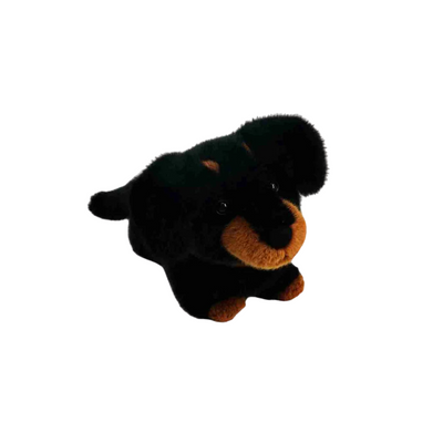 One Love - Pumpkin Dachshund