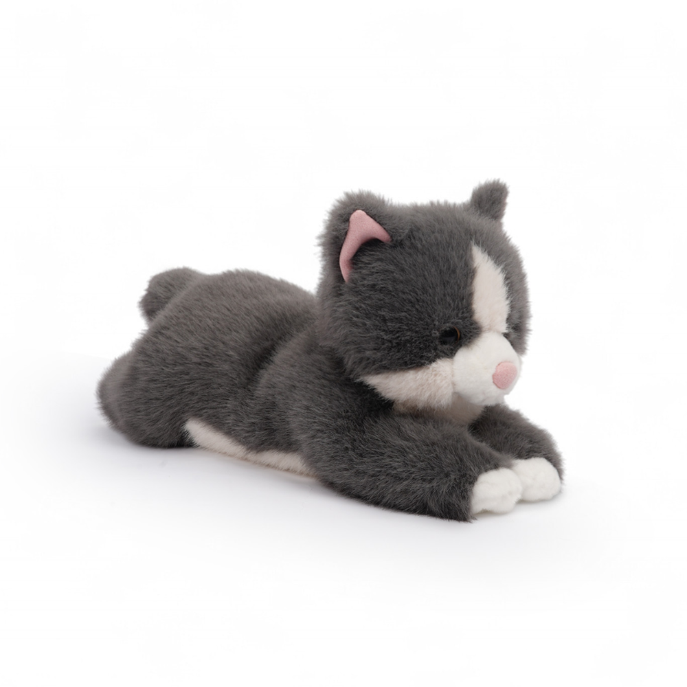 One Love - Misty Grey Cat