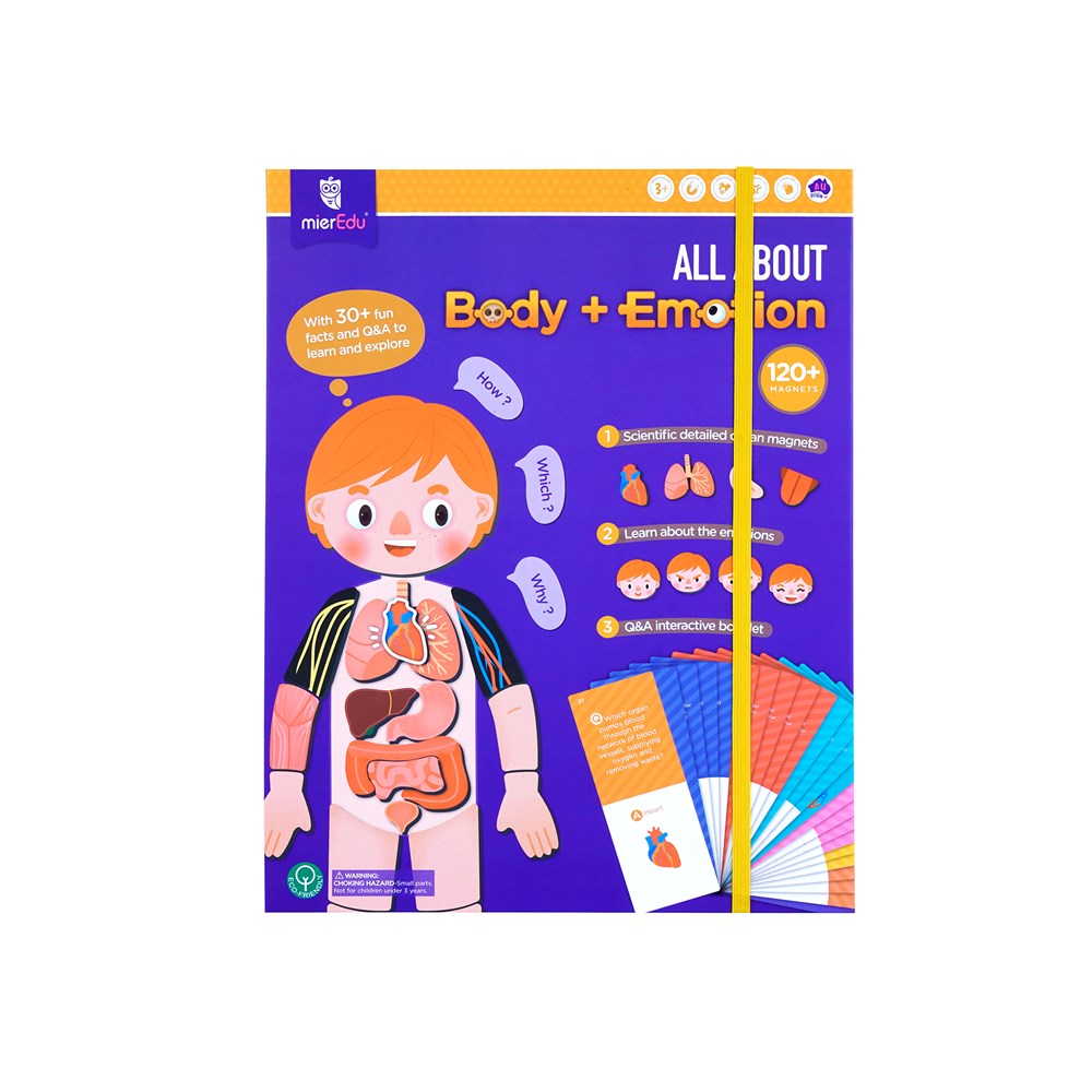 mierEdu - Magnetic Puzzle - All About - Body + Emotion
