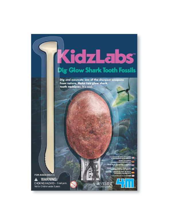 4M - KidzLabs - Shark Tooth Fossil