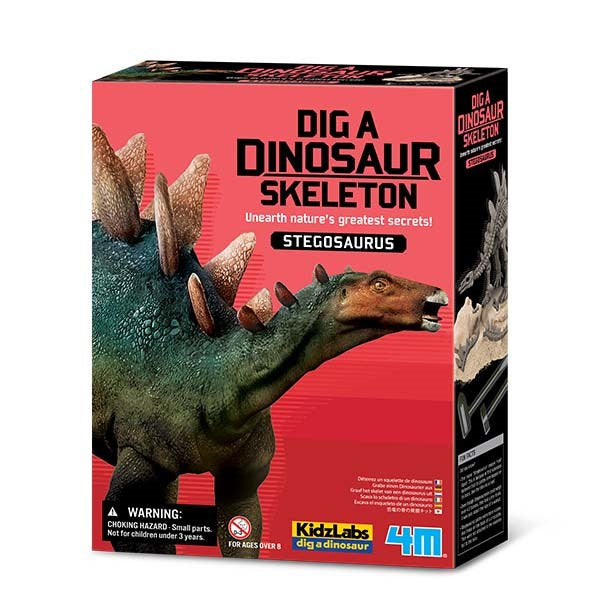 8+ Dinosaur Toy Box