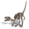 4M - Dig a Dinosaur - Velociraptor