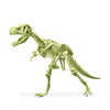4M - KidzLabs - Glowing T-Rex Skeleton