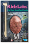 4M - KidzLabs - Shark Tooth Fossil